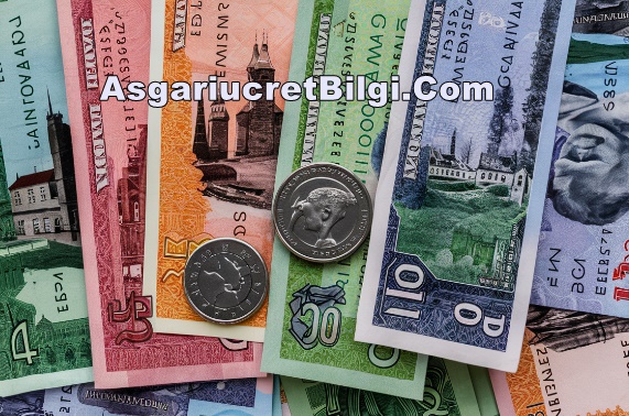 Estonya’da Asgari Ücretin Tarihçesi
