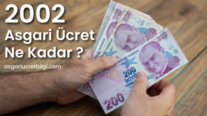 2002 Asgari Ücret