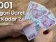 2001 Asgari Ücret